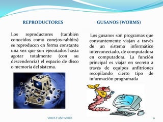REPRODUCTORES                      GUSANOS (WORMS)

Los    reproductores    (también      Los gusanos son programas que
conocidos como conejos-rabbits)      constantemente viajan a través
se reproducen en forma constante     de un sistema informático
una vez que son ejecutados hasta     interconectado, de computadora
agotar   totalmente    (con    su    en computadora. La función
descendencia) el espacio de disco    principal es viajar en secreto a
o memoria del sistema.               través de equipos anfitriones
                                     recopilando cierto tipo de
                                     información programada




                 VIRUS Y ANTIVIRUS                                  21
 