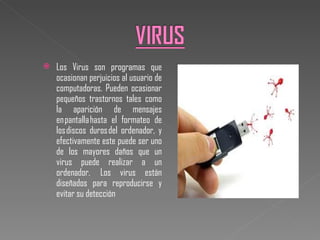 Los Virus son programas que ocasionan perjuicios al usuario de computadoras. Pueden ocasionar pequeños trastornos tales como la aparición de mensajes en pantalla hasta el formateo de los discos duros del ordenador, y efectivamente este puede ser uno de los mayores daños que un virus puede realizar a un ordenador.  Los virus están diseñados para reproducirse y evitar su detección 