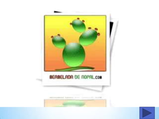 Virus y vacunas informaticas