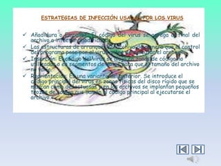 ESTRATEGIAS DE INFECCIÓN USADAS POR LOS VIRUS

 Añadidura o Empalme: El código del virus se agrega al final del
archivo a infectar, modificando.
 Las estructuras de arranque: del archivo de manera que el control
del programa pase por el virus antes de ejecutar el archivo.
 Inserción: El código del virus se aloja en zonas de código no
utilizadas o en segmentos de datos para que el tamaño del archivo
no varíe.
 Reorientación: Es una variante del anterior. Se introduce el
código principal del virus en zonas físicas del disco rígido que se
marcan como defectuosas y en los archivos se implantan pequeños
trozos de código que llaman al código principal al ejecutarse el
archivo.

 