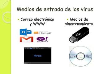 Medios de entrada de los virus
 Correo electrónico
y WWW
 Medios de
almacenamiento
 