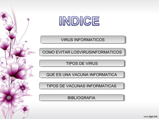 COMO EVITAR LOSVIRUSINFORMATICOSCOMO EVITAR LOSVIRUSINFORMATICOS
TIPOS DE VIRUSTIPOS DE VIRUS
VIRUS INFORMATICOSVIRUS INFORMATICOS
QUE ES UNA VACUNA INFORMATICAQUE ES UNA VACUNA INFORMATICA
TIPOS DE VACUNAS INFORMATICASTIPOS DE VACUNAS INFORMATICAS
BIBLIOGRAFIABIBLIOGRAFIA
 