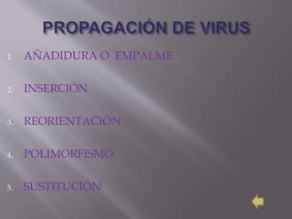 1. AÑADIDURA O EMPALME
2. INSERCIÓN
3. REORIENTACIÓN
4. POLIMORFISMO
5. SUSTITUCIÓN
 