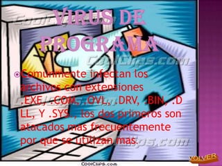 Comúnmente     infectan los
 archivos con extensiones
 .EXE, .COM, .OVL, .DRV, .BIN, .D
 LL, Y .SYS., los dos primeros son
 atacados mas frecuentemente
 por que se utilizan mas.
 