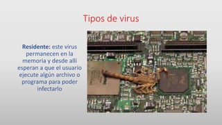 Tipos de virus
Residente: este virus
permanecen en la
memoria y desde allí
esperan a que el usuario
ejecute algún archivo o
programa para poder
infectarlo
 