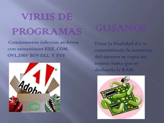 VIRUS DE
 PROGRAMAS                     GUSANOS
Comúnmente infectan archivos   Tiene la finalidad d e ir
con extensiones EXE, COM,      consumiendo la memoria
OVL,DRV BIN DLL Y SYS          del sistema se copia así
                               mismo hasta que se
                               desborda la RAM
 