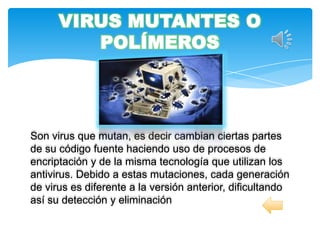 VIRUS MUTANTES O
         POLÍMEROS




Son virus que mutan, es decir cambian ciertas partes
de su código fuente haciendo uso de procesos de
encriptación y de la misma tecnología que utilizan los
antivirus. Debido a estas mutaciones, cada generación
de virus es diferente a la versión anterior, dificultando
así su detección y eliminación
 