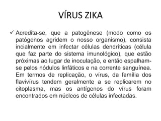 VÍRUS ZIKA
 Acredita-se, que a patogênese (modo como os
patógenos agridem o nosso organismo), consista
incialmente em infectar células dendríticas (célula
que faz parte do sistema imunológico), que estão
próximas ao lugar de inoculação, e então espalham-
se pelos nódulos linfáticos e na corrente sanguínea.
Em termos de replicação, o vírus, da família dos
flavivírus tendem geralmente a se replicarem no
citoplasma, mas os antígenos do vírus foram
encontrados em núcleos de células infectadas.
 