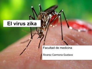 El virus zika
Facultad de medicina
Álvarez Carmona Gustavo
 