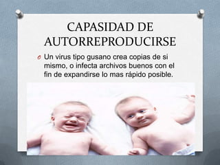 CAPASIDAD DE
  AUTORREPRODUCIRSE
O Un virus tipo gusano crea copias de si
  mismo, o infecta archivos buenos con el
  fin de expandirse lo mas rápido posible.
 