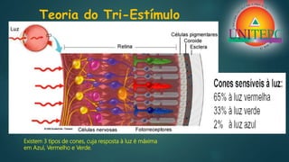Teoria do Tri-Estímulo
Existem 3 tipos de cones, cuja resposta à luz é máxima
em Azul, Vermelho e Verde.
 