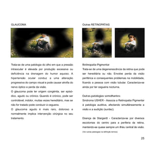 GLAUCOMA
Trata-se de uma patologia do olho em que a pressão
intraocular é elevada por produção excessiva ou
deficiência na drenagem do humor aquoso. A
hipertensão ocular conduz a uma alteração
progressiva do campo visual e pode causar atrofia do
nervo óptico e perda da visão.
O glaucoma pode ter origem congénita, ser episó-
dico, agudo ou crónico. Quando é crónico, pode ser
controlável, indolor, muitas vezes hereditário, mas se
não for tratado pode conduzir à cegueira.
O glaucoma agudo é mais raro, doloroso e
normalmente implica intervenção cirúrgica no seu
tratamento.
25
Outras RETINOPATIAS
Retinopatia Pigmentar
Trata-se de uma degenerescência da retina que pode
ser hereditária ou não. Envolve perda da visão
periférica e consequentes problemas na mobilidade,
ficando a pessoa com visão tubular. Caracteriza-se
ainda por ter cegueira nocturna.
Outras patologias semelhantes:
Sindroma USHER - Associa a Retinopatia Pigmentar
à patologia auditiva, afectando simultâneamente a
visão e a audição (surdez).
Doença de Stargardt - Caracteriza-se por diversos
escotomas do centro para a periferia da retina,
mantendo-se quase sempre um ilhéu central de visão.
(Ver outras patologias na definição termos)
 