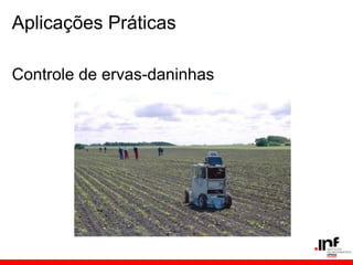 Aplicações Práticas
Controle de ervas-daninhas
 