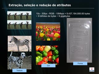 Extração, seleção e redução de atributos

                 10s - 30fps - RGB - 10Mbps = 9,437,184,000.00 bytes
                 ~ 9 bilhões de bytes ~ 9 gigabytes




                                                        Forma
                           Cor

     Textura
 
