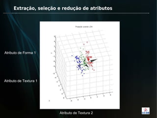 Extração, seleção e redução de atributos




Atributo de Forma 1


                                    0



Atributo de Textura 1




                        Atributo de Textura 2
 