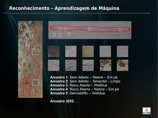 Reconhecimento – Aprendizagem de Máquina




              Amostra 1: Sem defeito – Nelore – Em pé
              Amostra 2: Sem defeito – Simental – Limpo
              Amostra 3: Risco Aberto – Wetblue
              Amostra 4: Risco Aberto – Nelore – Em pé
              Amostra 5: Dermatófilo – Wetblue
              ...
              Amostra 3052: ...
 
