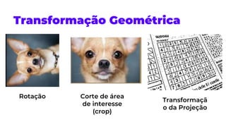 Transformação Geométrica
Rotação Corte de área
de interesse
(crop)
Transformaçã
o da Projeção
 