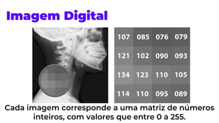 Cada imagem corresponde a uma matriz de números
inteiros, com valores que entre 0 a 255.
Imagem Digital
 