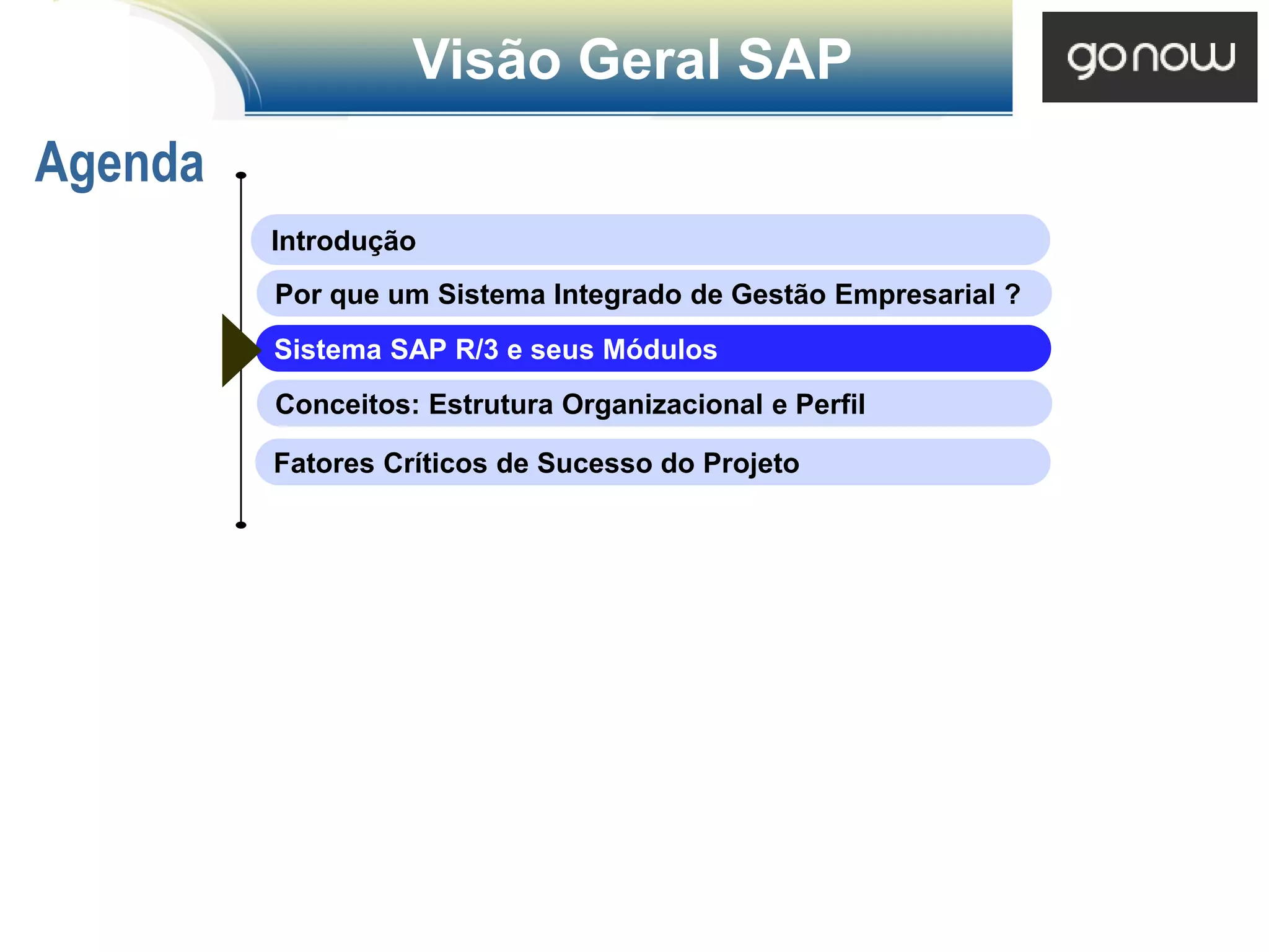 Visão Geral SAP
Agenda
         Introdução
         Por que um Sistema Integrado de Gestão Empresarial ?
         Sistema SAP R/3 e seus Módulos
         Conceitos: Estrutura Organizacional e Perfil

         Fatores Críticos de Sucesso do Projeto
 