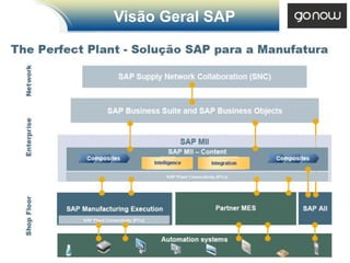Visão Geral SAP
 