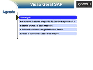 Visão Geral SAP
Agenda
         Introdução
         Por que um Sistema Integrado de Gestão Empresarial ?

         Sistema SAP R/3 e seus Módulos
         Conceitos: Estrutura Organizacional e Perfil
         Fatores Críticos de Sucesso do Projeto
 