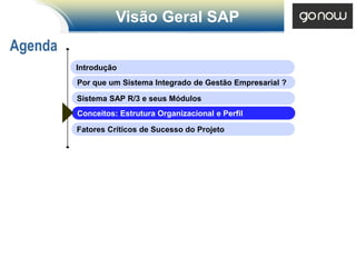 Visão Geral SAP
Agenda
         Introdução
         Por que um Sistema Integrado de Gestão Empresarial ?

         Sistema SAP R/3 e seus Módulos
         Conceitos: Estrutura Organizacional e Perfil

         Fatores Críticos de Sucesso do Projeto
 
