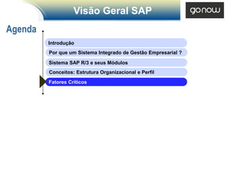 Visão Geral SAP
Agenda
         Introdução
         Por que um Sistema Integrado de Gestão Empresarial ?

         Sistema SAP R/3 e seus Módulos
         Conceitos: Estrutura Organizacional e Perfil
         Fatores Críticos
 