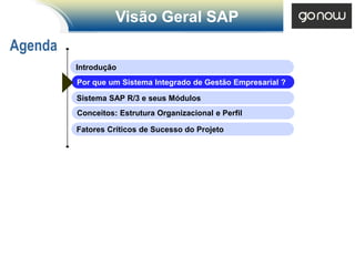 Visão Geral SAP
Agenda
         Introdução
         Por que um Sistema Integrado de Gestão Empresarial ?

         Sistema SAP R/3 e seus Módulos
         Conceitos: Estrutura Organizacional e Perfil

         Fatores Críticos de Sucesso do Projeto
 
