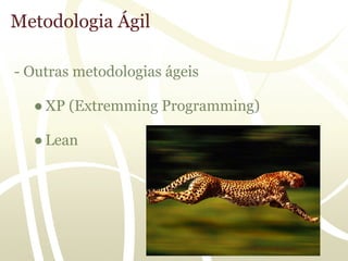 Metodologia Ágil

- Outras metodologias ágeis

  ● XP (Extremming Programming)

  ● Lean
 