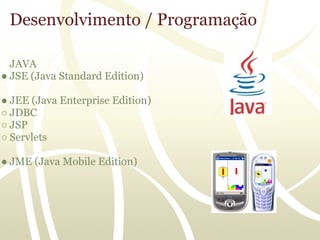 Desenvolvimento / Programação

  JAVA
● JSE (Java Standard Edition)

● JEE (Java Enterprise Edition)
○ JDBC
○ JSP
○ Servlets

● JME (Java Mobile Edition)
 