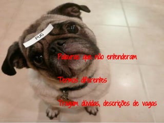 Palavras que não entenderam


Termos diferentes


Tragam dúvidas, descrições de vagas
 