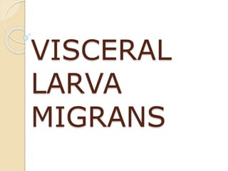 VISCERAL
LARVA
MIGRANS
 