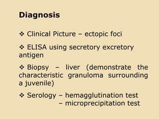 Diagnosis
 Clinical Picture – ectopic foci
 ELISA using secretory excretory
antigen
 Biopsy – liver (demonstrate the
characteristic granuloma surrounding
a juvenile)
 Serology – hemagglutination test
– microprecipitation test
 