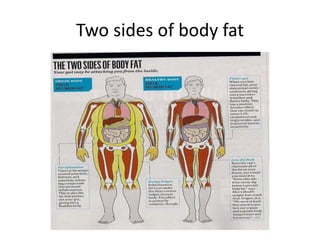 Two sides of body fat
 