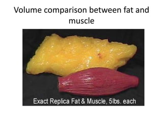 Volume comparison between fat and
muscle
 