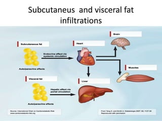 Subcutaneus and visceral fat
infiltrations
 