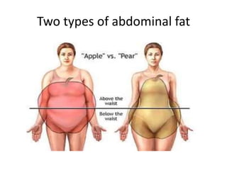 Two types of abdominal fat
 
