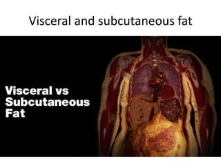Visceral and subcutaneous fat
 