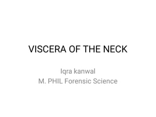 VISCERA OF THE NECK
Iqra kanwal
M. PHIL Forensic Science
 