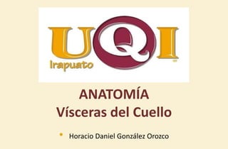 ANATOMÍA
Vísceras del Cuello
• Horacio Daniel González Orozco
 