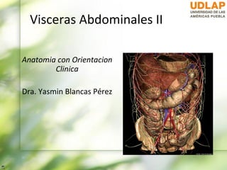 Visceras Abdominales II

Anatomia con Orientacion
        Clinica

Dra. Yasmin Blancas Pérez
 
