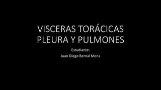 VISCERAS TORÁCICAS
PLEURA Y PULMONES
Estudiante:
Juan Diego Bernal Mena
 