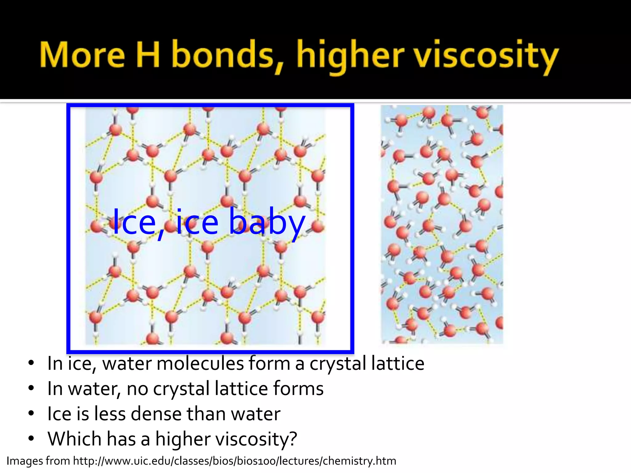 Images from http://www.uic.edu/classes/bios/bios100/lectures/chemistry.htm
• In ice, water molecules form a crystal lattice
• In water, no crystal lattice forms
• Ice is less dense than water
• Which has a higher viscosity?
Ice, ice baby
 