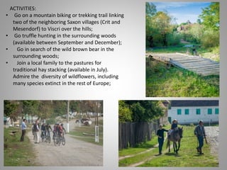 ACTIVITIES:
• Go on a mountain biking or trekking trail linking
two of the neighboring Saxon villages (Crit and
Mesendorf) to Viscri over the hills;
• Go truffle hunting in the surrounding woods
(available between September and December);
• Go in search of the wild brown bear in the
surrounding woods;
• Join a local family to the pastures for
traditional hay stacking (available in July).
Admire the diversity of wildflowers, including
many species extinct in the rest of Europe;
 