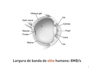 Largura de banda do olho humano: 8MB/s
6
 