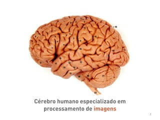 7
Cérebro humano especializado em
processamento de imagens
 