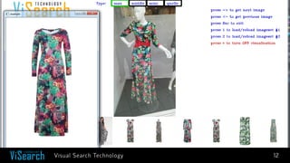 12 
Visual Search Technology  