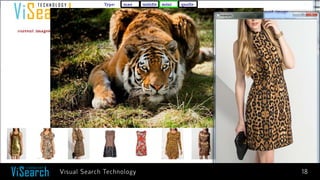 18 
Visual Search Technology 