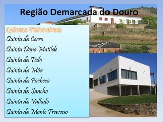 Região Demarcada do Douro
Quinta do Cerro
Quinta Dona Matilde
Quinta do Tedo
Quinta da Môa
Quinta da Pacheca
Quinta do Sancho
Quinta do Vallado
Quinta do Monte Travesso
 