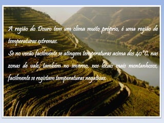 A região do Douro tem um clima muito próprio, é uma região de
temperaturas extremas.
Se no verão facilmente se atingem temperaturas acima dos 40ºC, nas
zonas de vale, também no inverno, nos locais mais montanhosos,
facilmente se registam temperaturas negativas.
 
